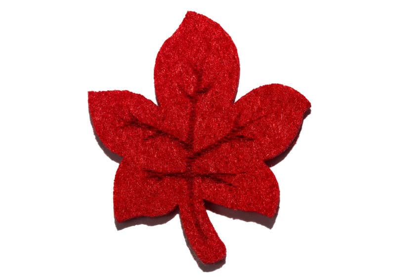 Utiliser la feutrine pour vos créations : comment s’y prendre ? Fleurs en feutrine