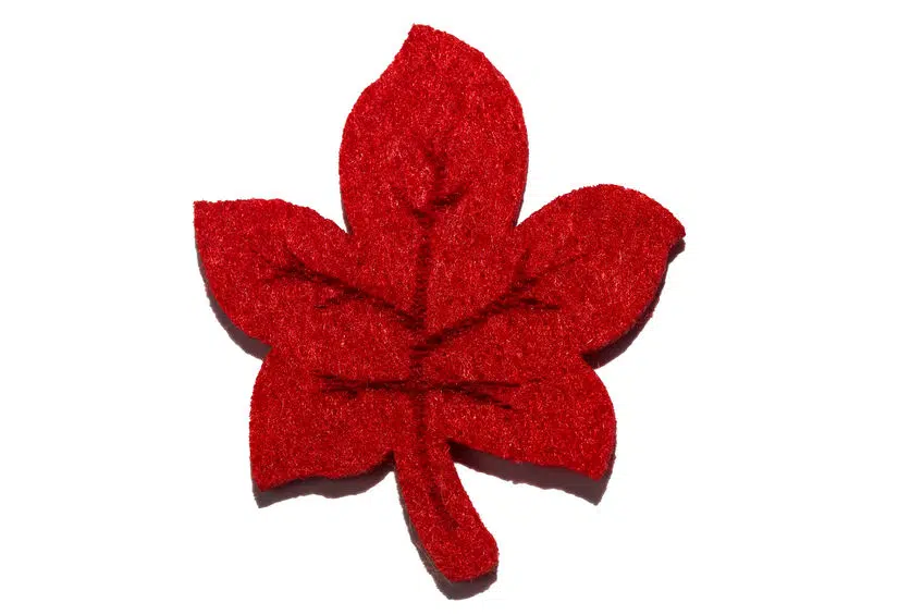 Fleurs en feutrine