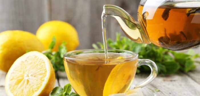 Infusion De Thym Recette Infusion Au Thym Stock Photo 32 Comment faire une infusion de thym
