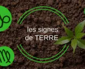 Signe de terre : quels sont les signes de Terre ?