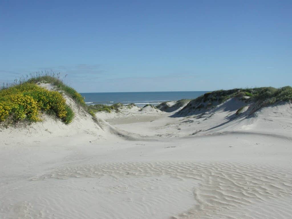 Padre Island National Seashore