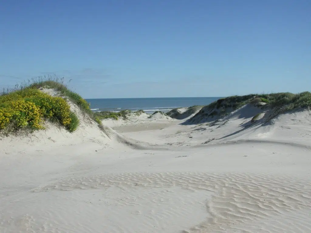 Padre Island National Seashore