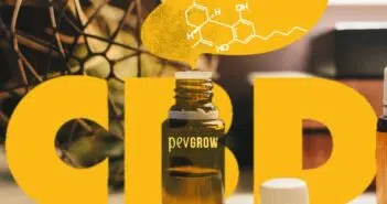 Qu’est-ce que le CBD ?