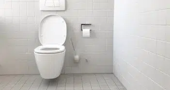 white toilet bowl with cistern