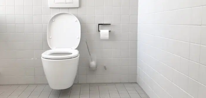 white toilet bowl with cistern